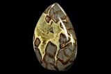 Polished Utah Septarian Flame - Beautiful Crystals #170018-2